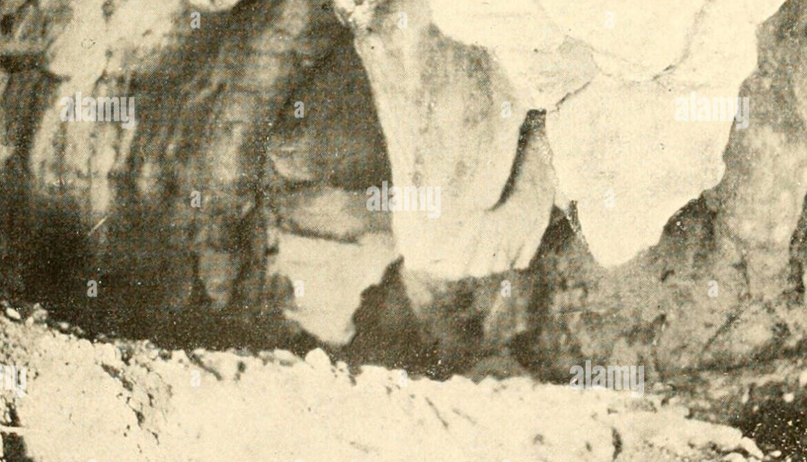 boletin-de-la-sociedad-espanola-de-historia-natural