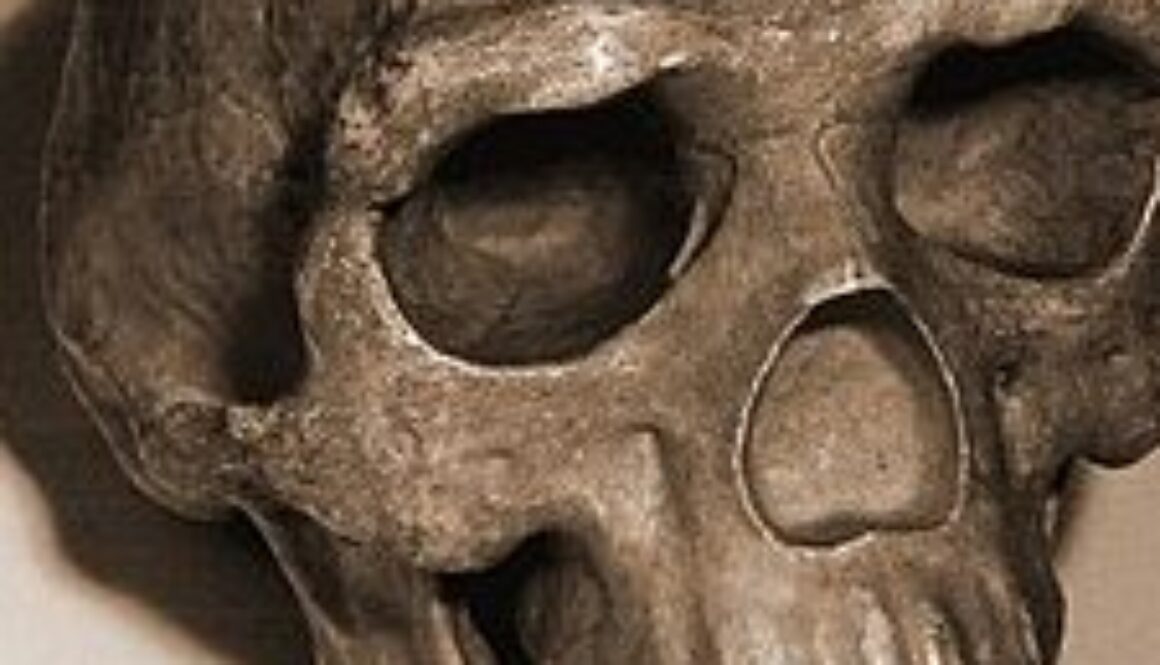 como-comenzo-la-prehistoria