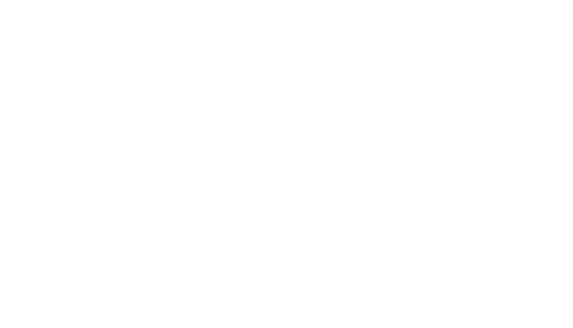 como-es-la-historia