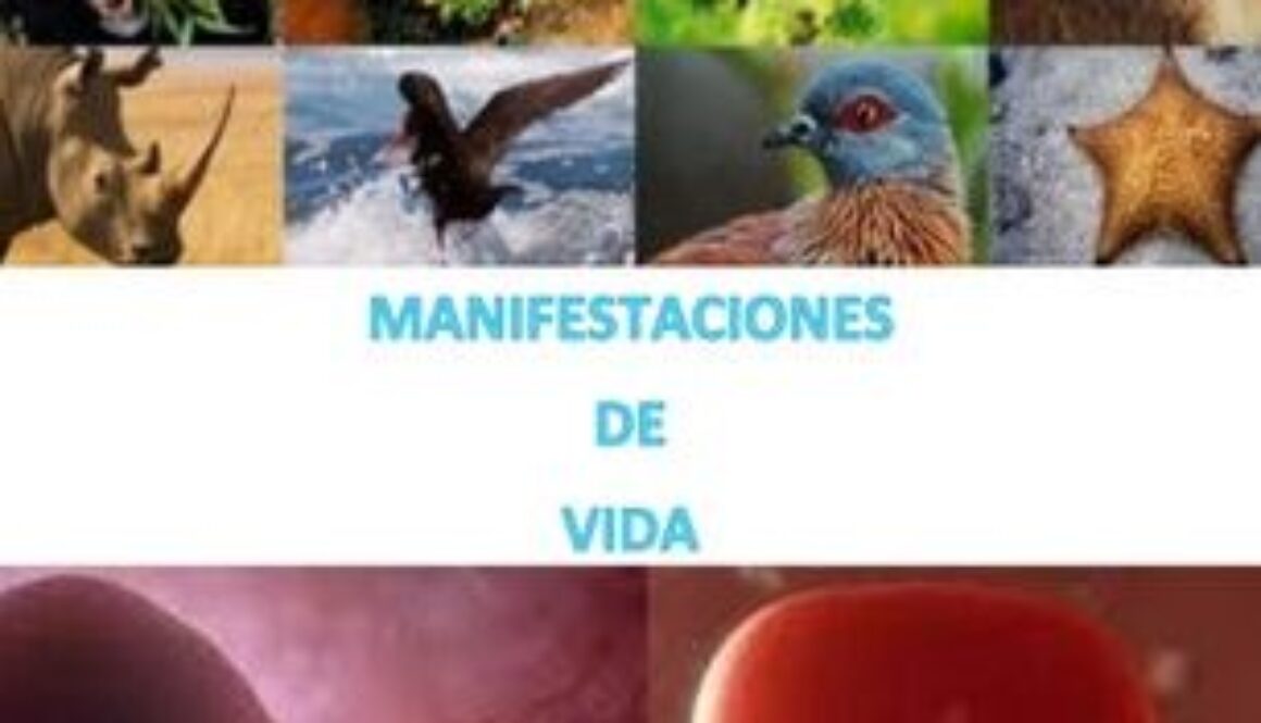 como-han-surgido-los-seres-vivos-que-habitan-en-la-tierra