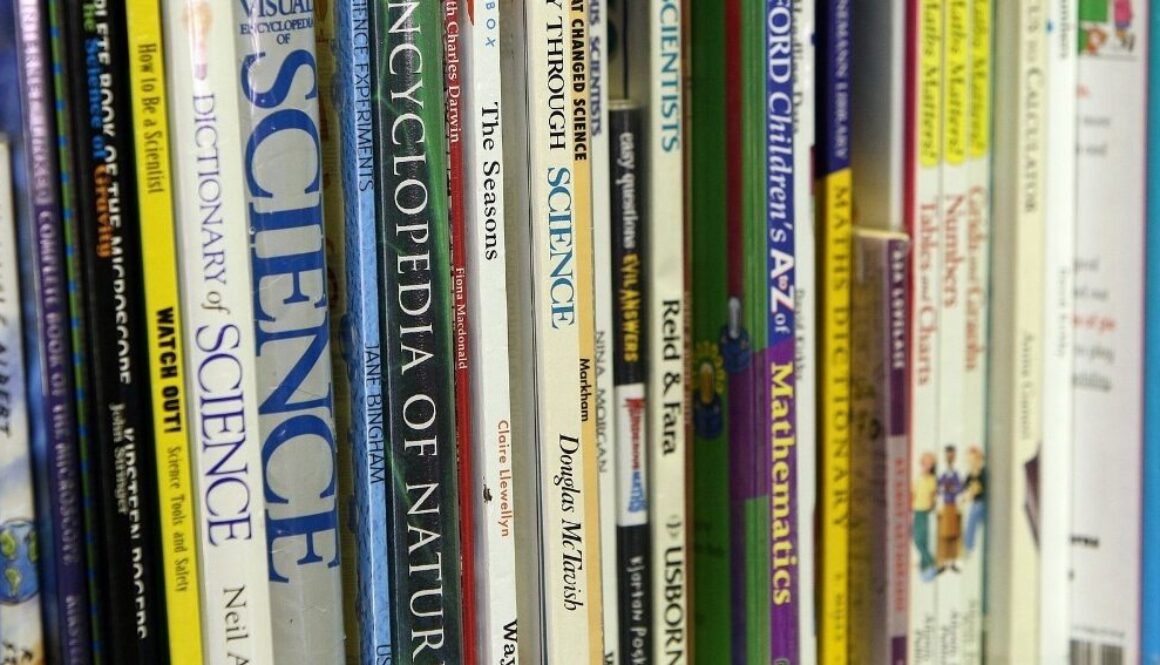 como-se-clasifican-las-ciencias-sociales-segun-su-objeto-de-estudio