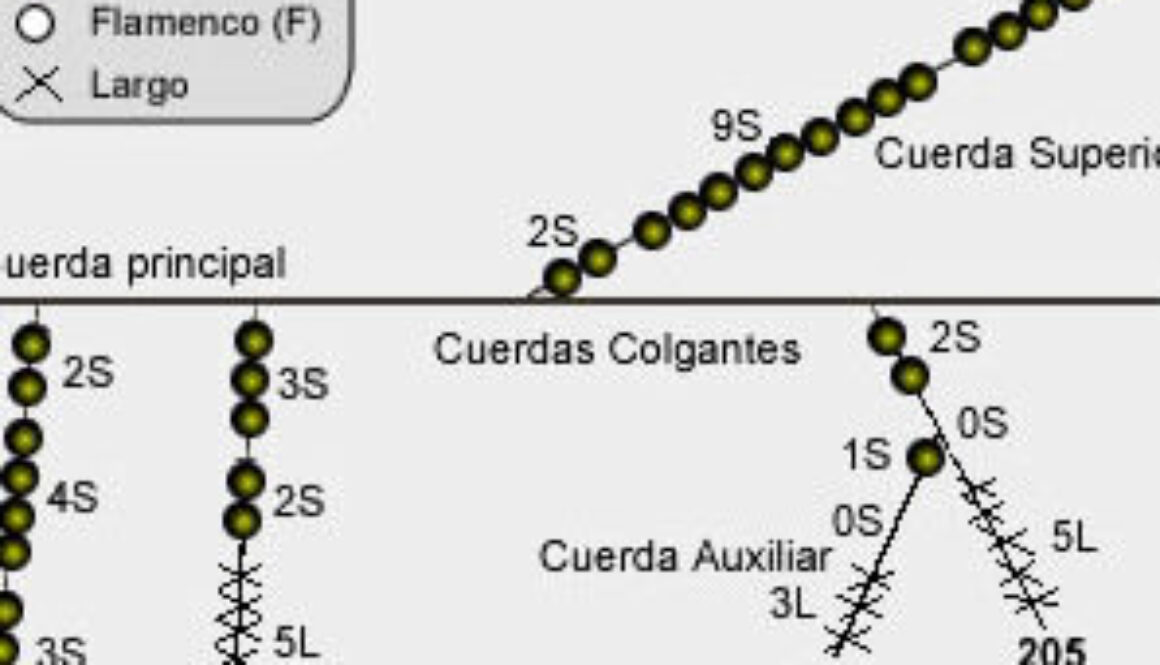 cual-era-el-idioma-de-los-incas