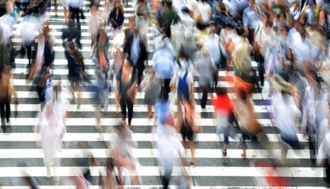 cual-es-la-funcion-de-las-ciencias-sociales