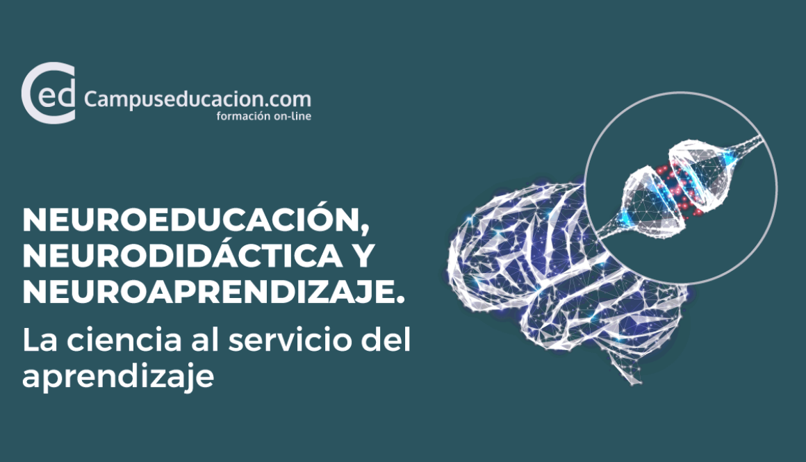 cual-es-la-importancia-de-la-historia-en-el-estudio-de-la-memoria