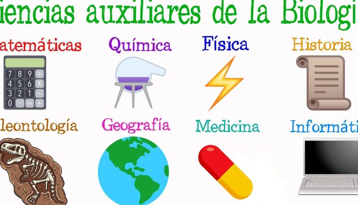 cual-es-la-importancia-de-las-ciencias-auxiliares