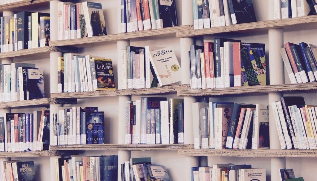 cual-fue-el-primer-libro-de-la-historia
