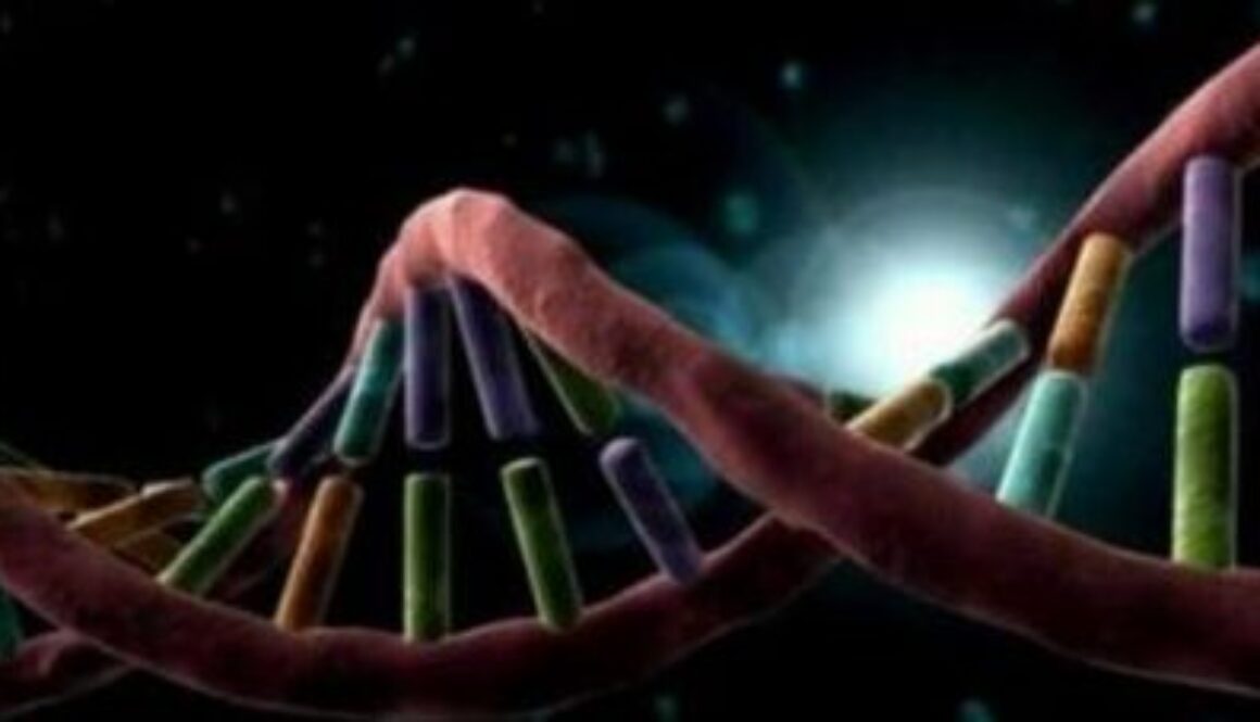 cuales-investigaciones-han-sido-las-mas-importantes-en-la-historia-de-la-humanidad