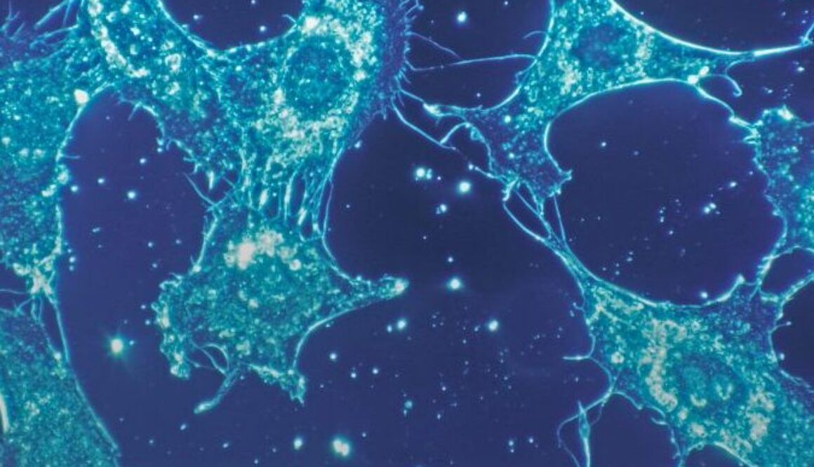 cuales-son-la-rama-de-la-ciencia