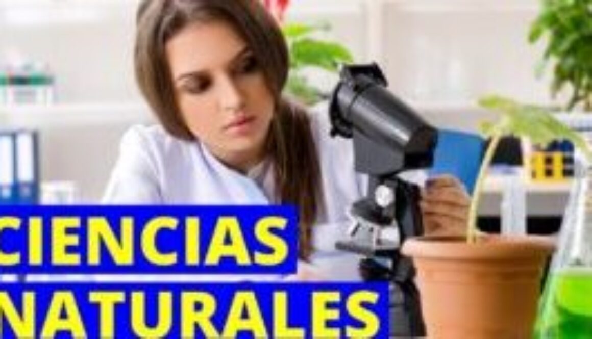 cuales-son-las-12-ciencias-que-existen