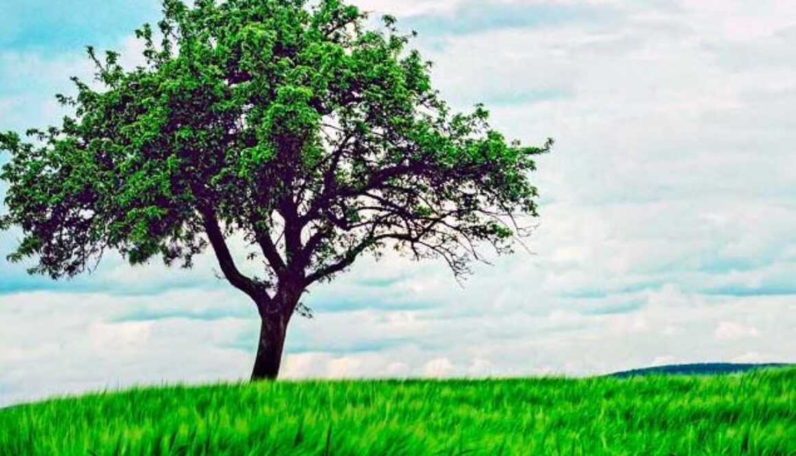 cuales-son-las-12-ramas-de-la-ciencia