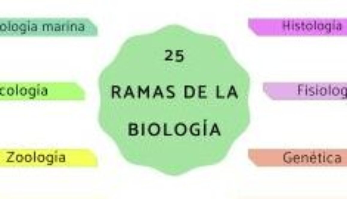 cuales-son-las-3-ramas-de-las-ciencias-naturales