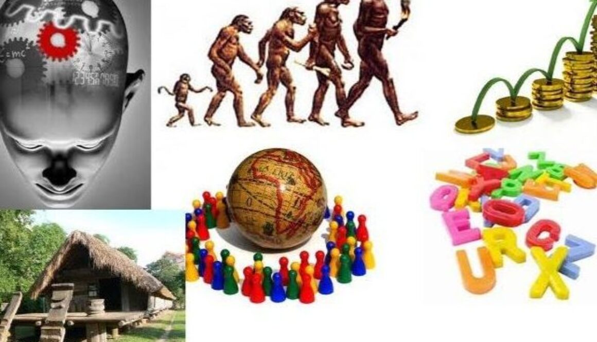 cuales-son-las-4-ramas-de-la-sociologia