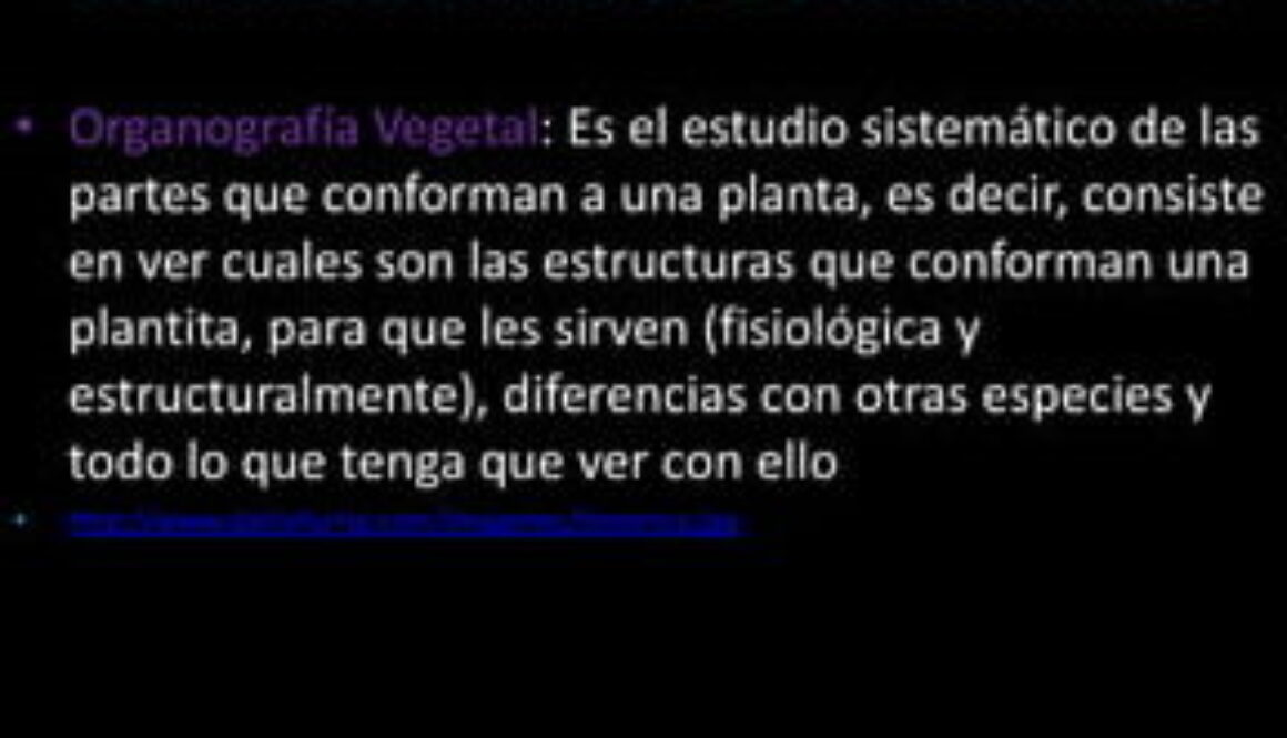 cuales-son-las-6-ciencias