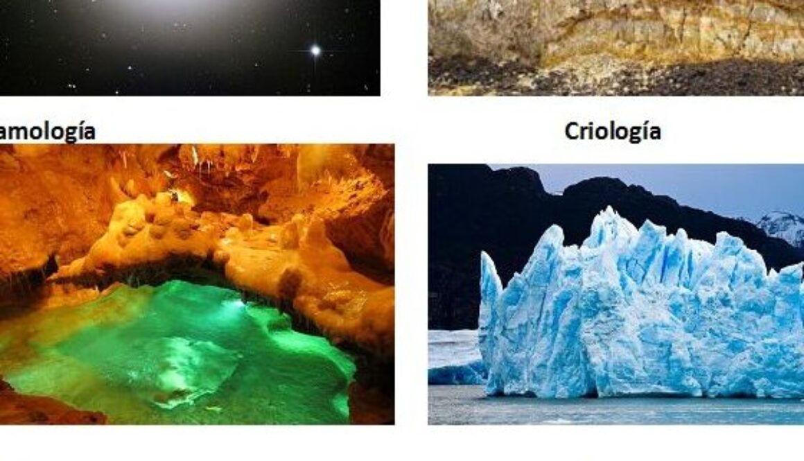 cuales-son-las-8-ciencias-auxiliares