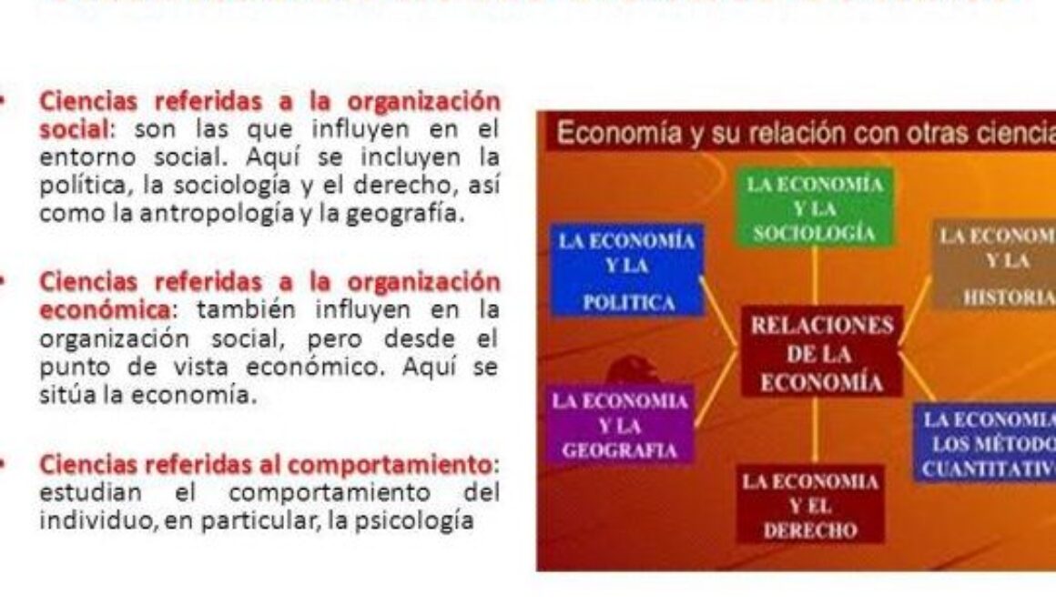 cuales-son-las-asignaturas-de-ciencias-sociales cuales-son-las-asignaturas-de-ciencias-sociales