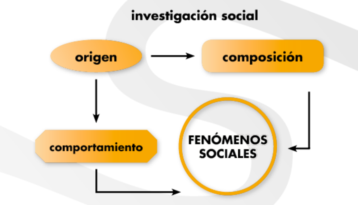 cuales-son-las-ciencias-que-conforman-las-ciencias-sociales