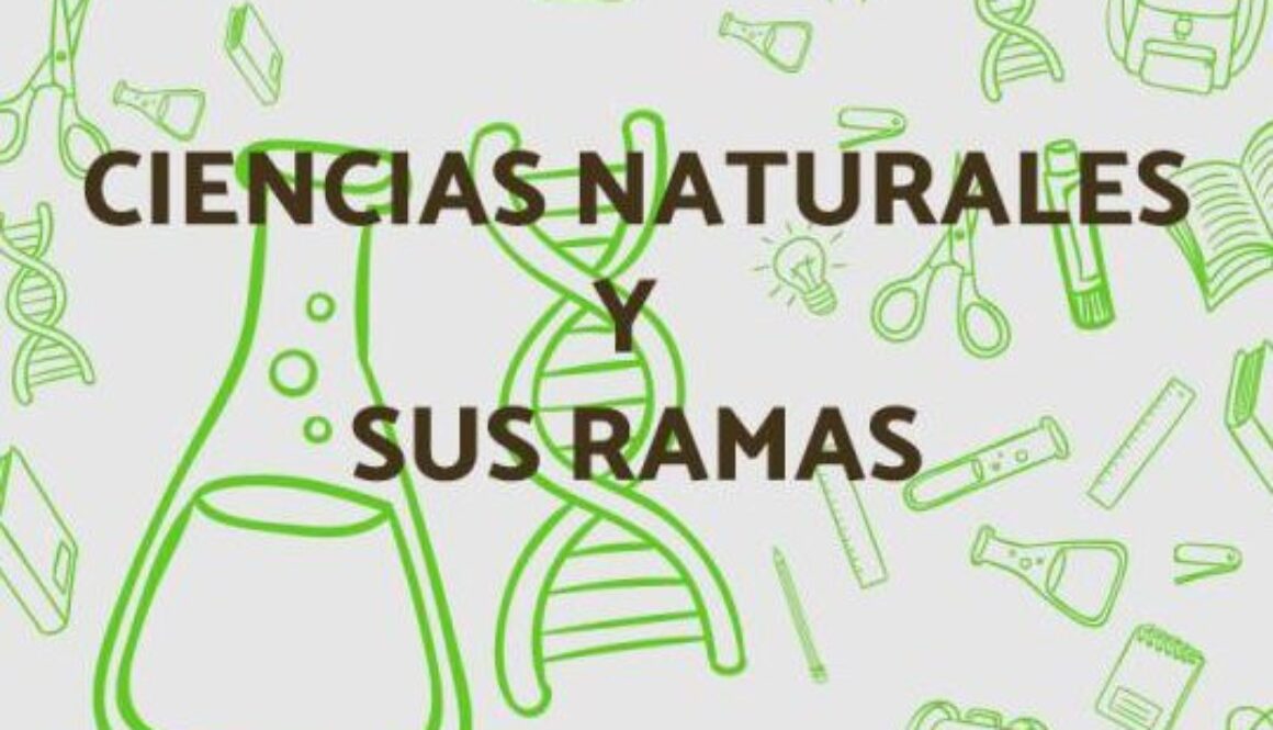 cuales-son-las-disciplinas-mas-importantes-de-las-ciencias-sociales