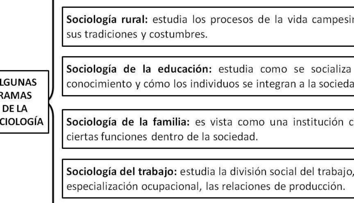 cuales-son-los-3-tipos-de-sociologia