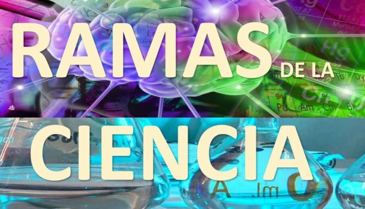 cuales-son-los-diferentes-tipos-de-ciencias