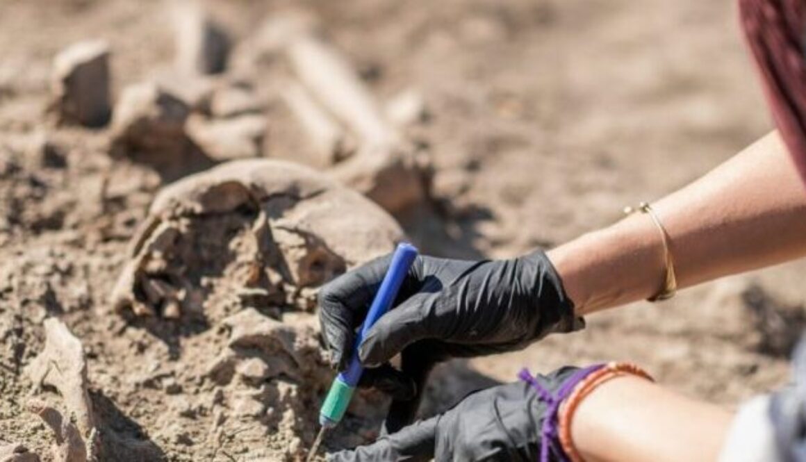 cuales-son-los-tipos-de-investigacion-en-ciencias-sociales