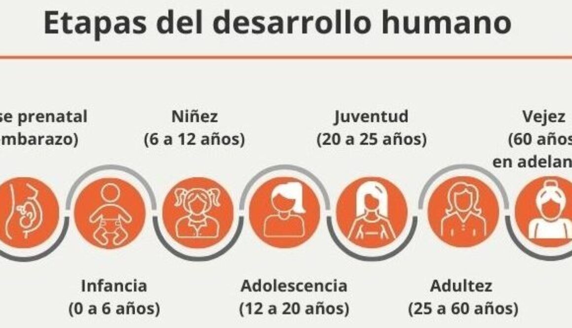 cuantas-etapas-tiene-la-historia
