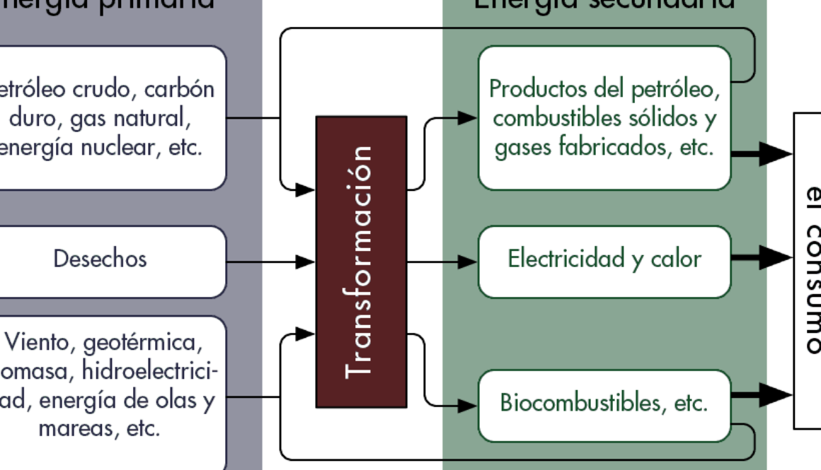 cuantas-fuentes-primarias-hay