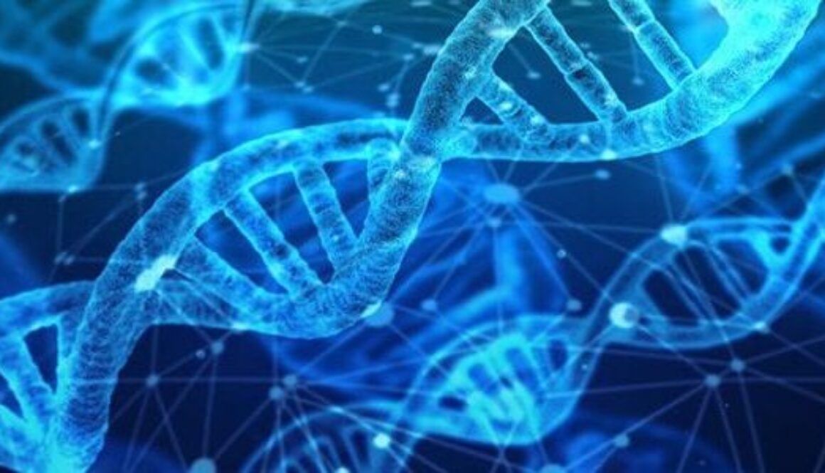 cuantas-ramas-hay-en-la-ciencia