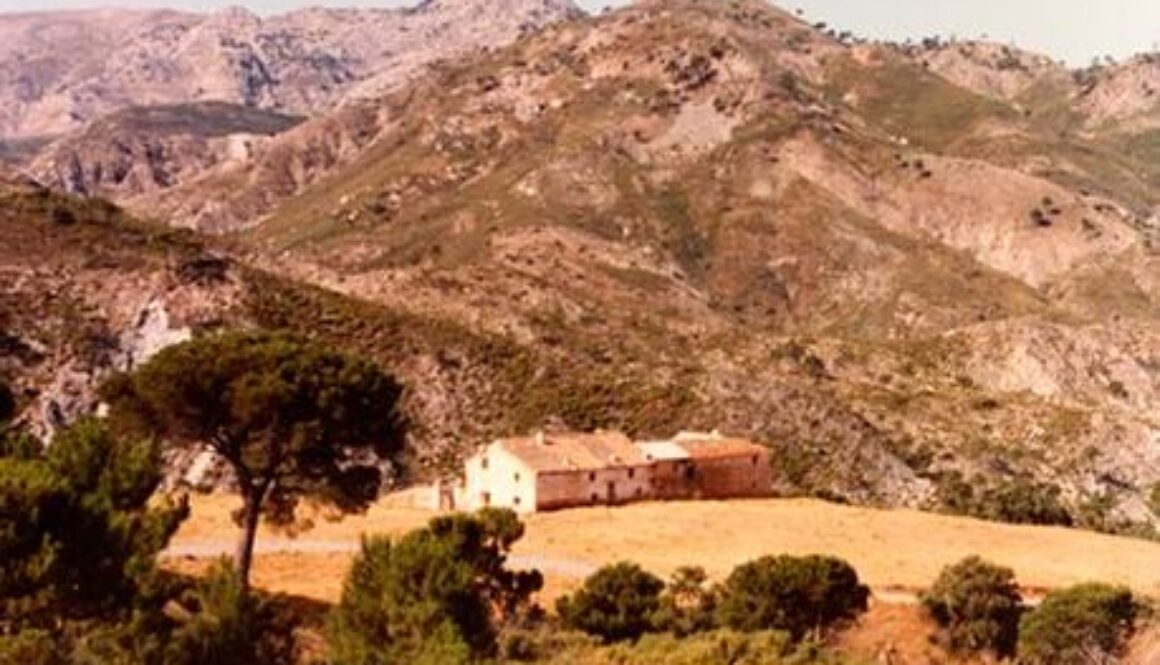 historia-de-la-union-resinera-espanola