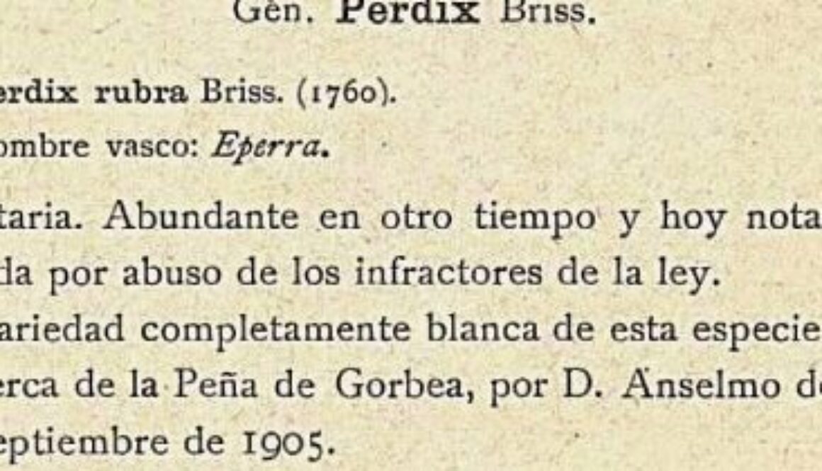 memorias-de-la-real-sociedad-espanola-de-historia-natural