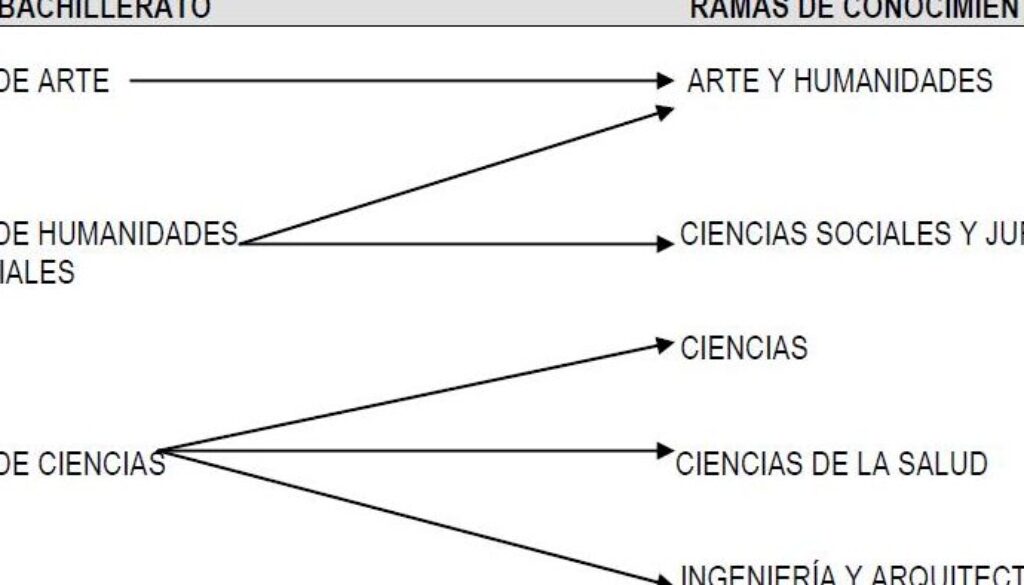 que-carrera-tiene-mas-salidas-de-ciencias-sociales