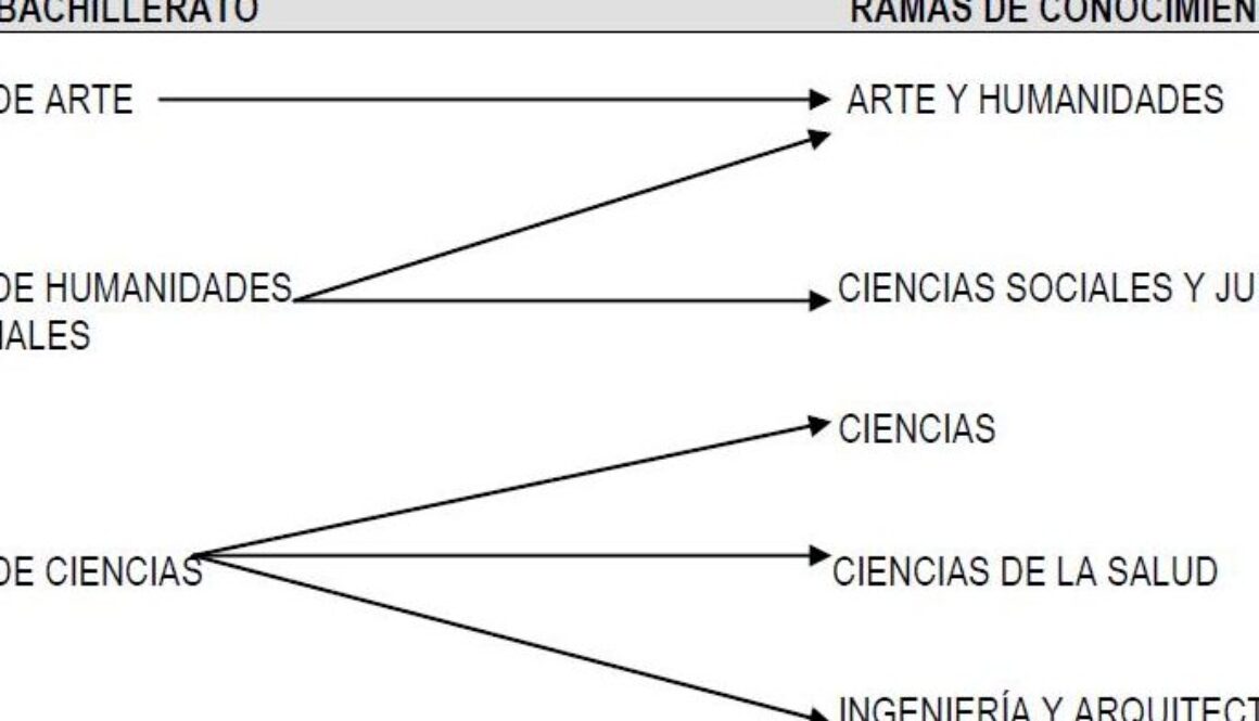 que-carrera-tiene-mas-salidas-de-ciencias-sociales