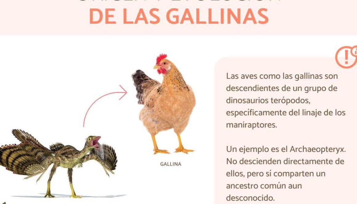 que-descendencia-tiene-espana