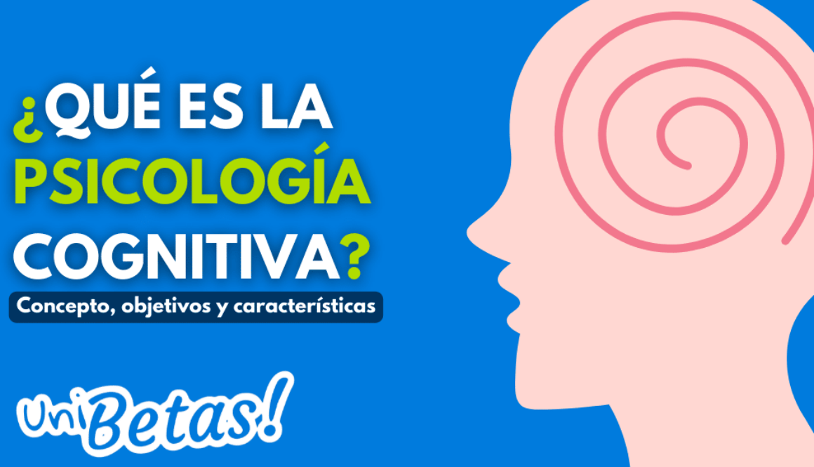 que-elementos-son-importantes-para-entender-la-historia