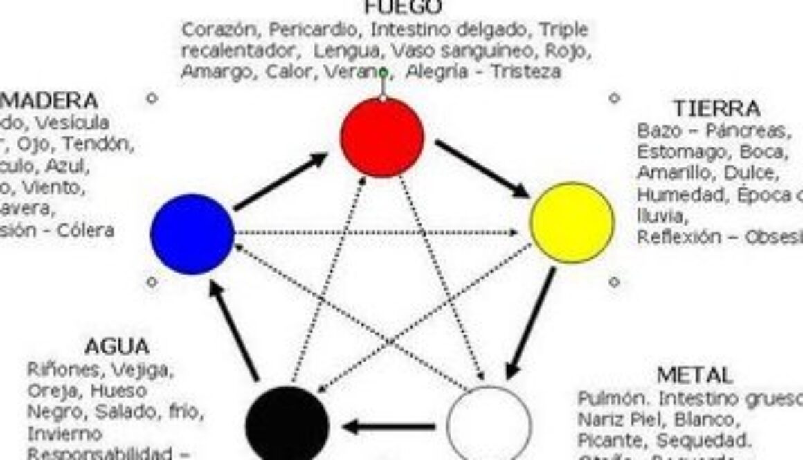 que-elementos-tiene-una-teoria