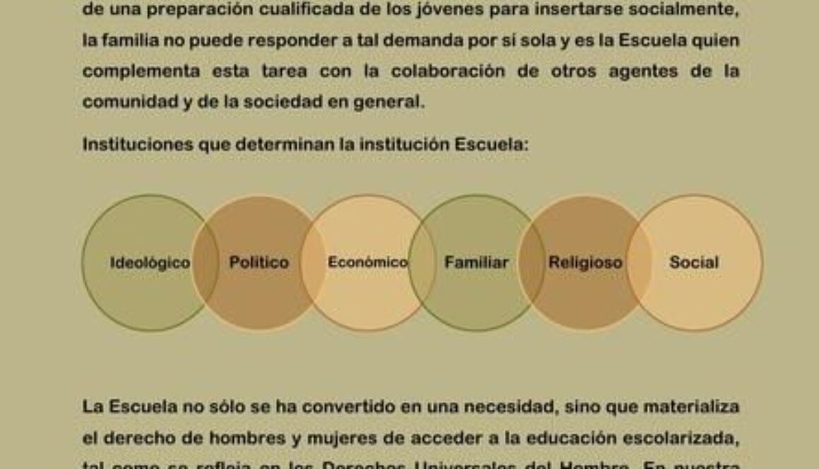 que-es-la-organizacion-escolar-y-cuales-son-sus-elementos