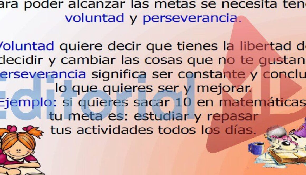 que-metas-busca-lograr-la-historia