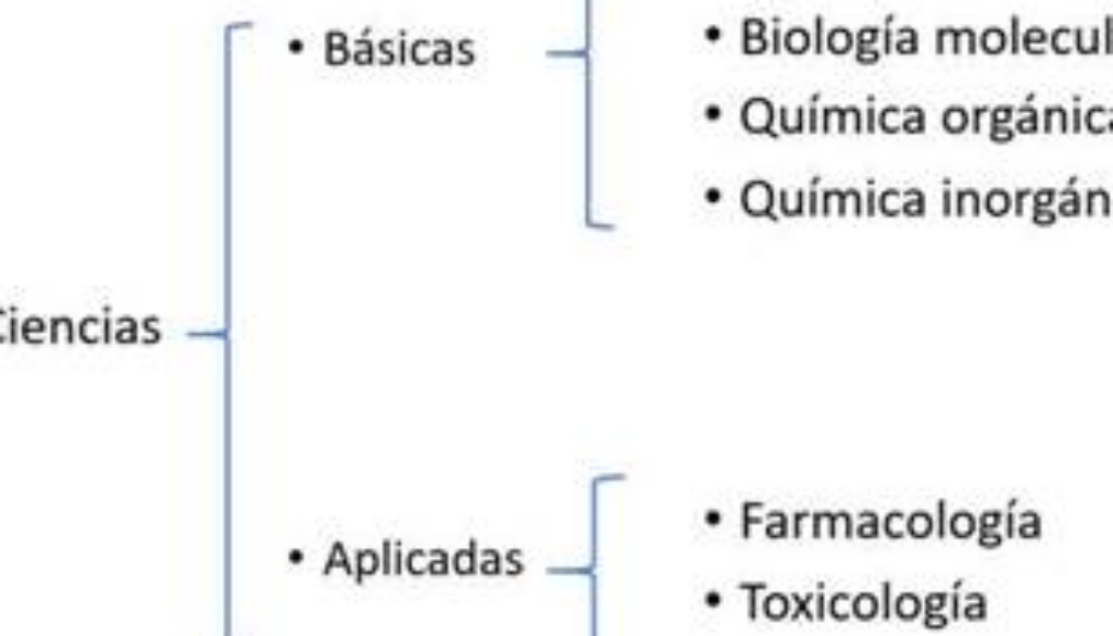 que-otro-nombre-se-le-llama-a-las-ciencias-sociales