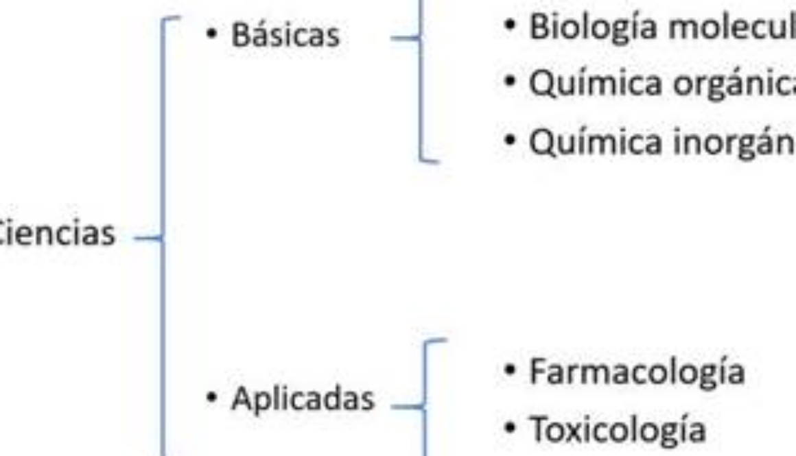 que-otro-nombre-se-le-llama-a-las-ciencias-sociales