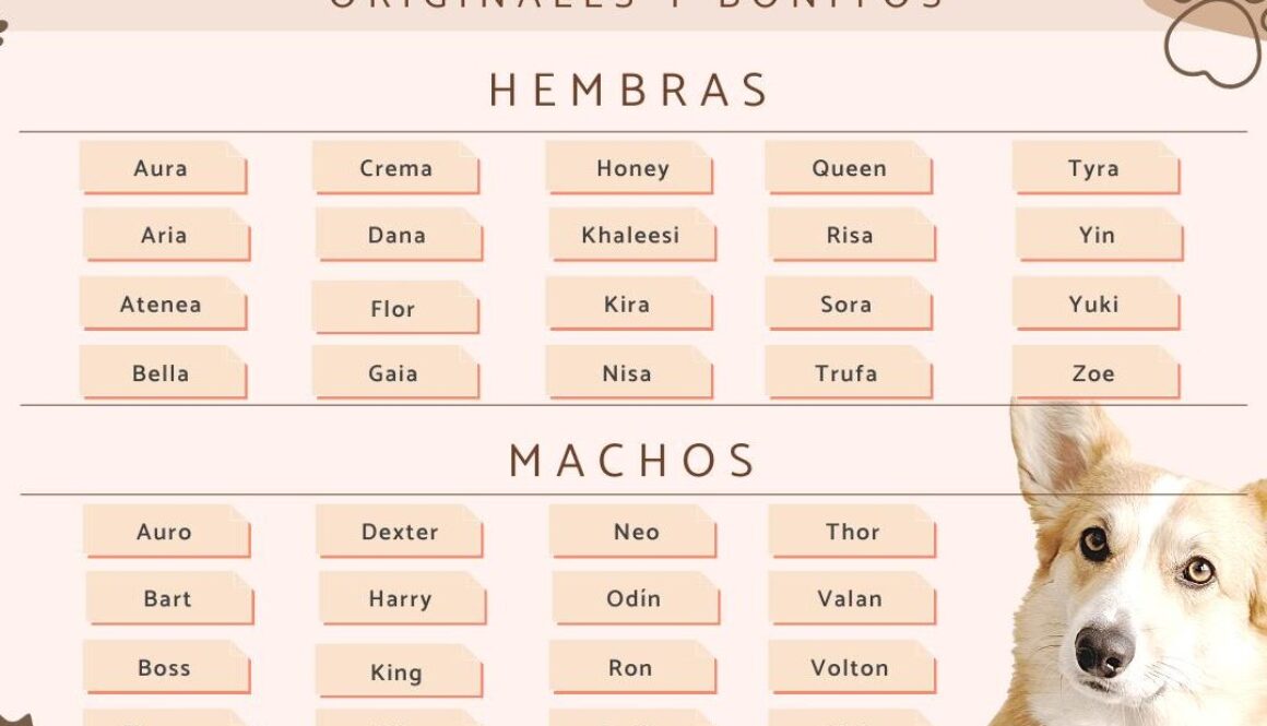 que-significa-el-nombre-de-peru