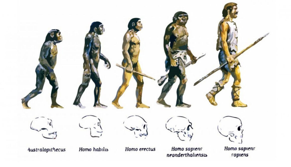 que-sirve-conocer-la-historia-de-los-seres-vivos