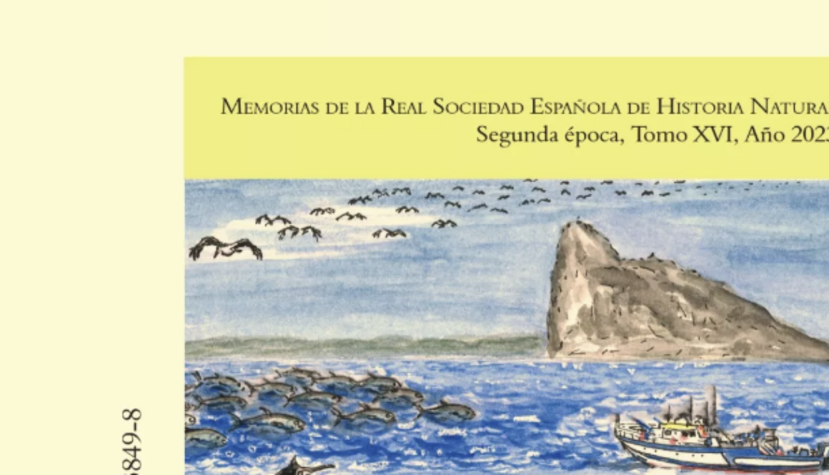 sociedad-espanola-de-historia